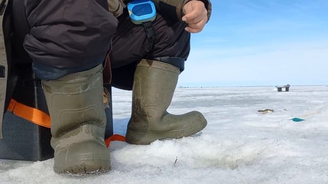 В погоне за ОКУНЕМ на озере АЙДЫКУЛЬ. смотреть онлайн