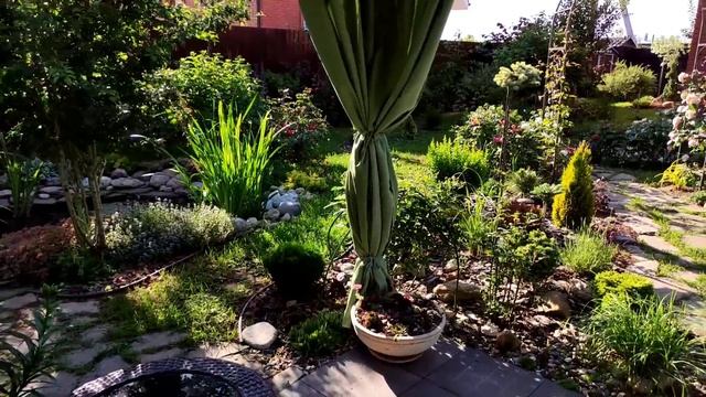 Красивый сад за 5 лет. Как быстро выросли деревья. Обзор растений. Ландшафтный дизайн своими руками смотреть онлайн