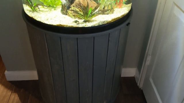 Update | 30 Gallon Half Moon Aquarium смотреть онлайн
