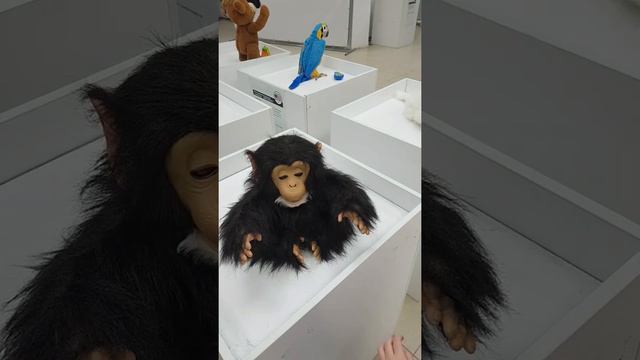 Пётр - повелитель роботов! смотреть онлайн