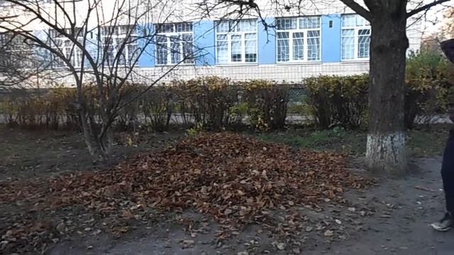 FAQ - Как приветствуют друг друга страны? смотреть онлайн