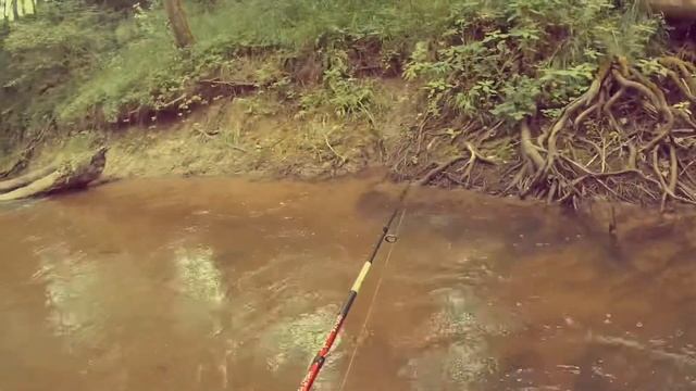 Река Красная!!! Калининградская область!!! Форель и хариус в активе!!! смотреть онлайн