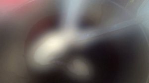 Варенье из горькой жимолости