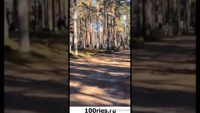 Это не палатки, это КЛАДБИЩЕ смотреть онлайн