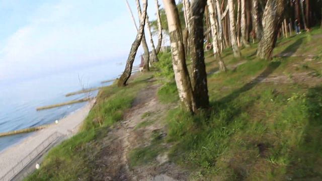 Парк у моря, г. Пионерский май 2019 г. смотреть онлайн