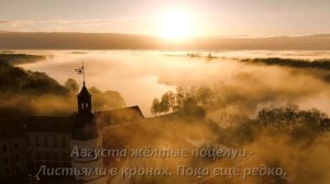 Август... Елена Сафронова