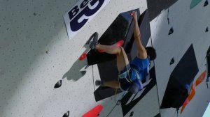 Бриансон-2024. Мужской финал. Кубок мира по скалолазанию в дисциплине "Трудность".