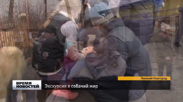 Экскурсию в приют для животных провели студенты НИУ - филиала РАНХиГС для детей с синдромом Дауна смотреть онлайн
