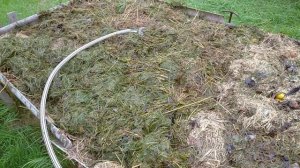 ТЁПЛАЯ ОРГАНИЧЕСКАЯ ГРЯДКА ДЛЯ КЛУБНИКИ?