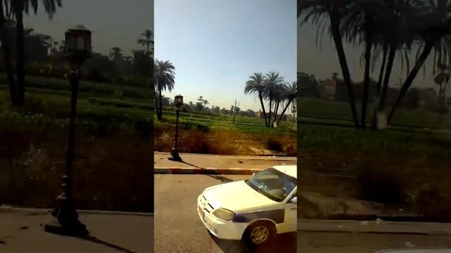 Египетский город Кена смотреть онлайн