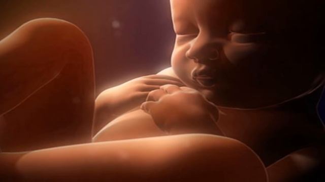 Звуки в утробе матери для сна малыша. Sounds In The Womb To Calm And Sleep The Baby.