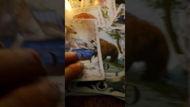 хитрая лиса 💯🦊 дама бубей 🔒 смотреть онлайн