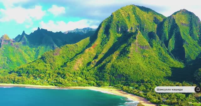 Коран сура Ан-Нас видео 4к Миншави -Minshawiy