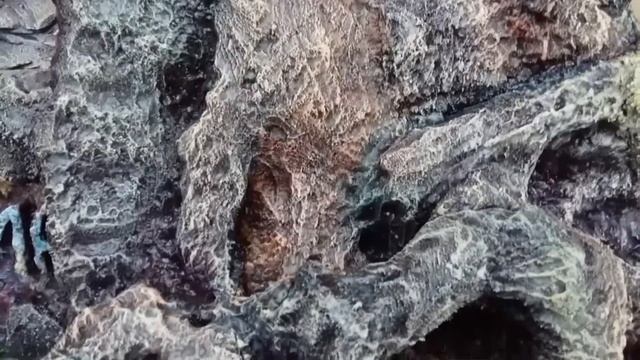 Фоны для аквариума своими руками смотреть онлайн