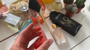 Парфюмерные фавориты ИЮЛЯ 🥝🥥🍍Lattafa, люкс, сетевая парфюмерия