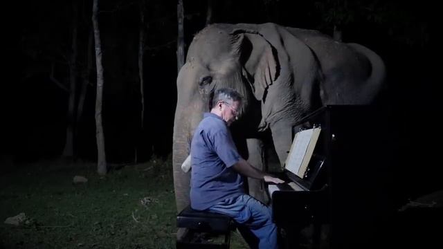 лунная соната смотреть онлайн