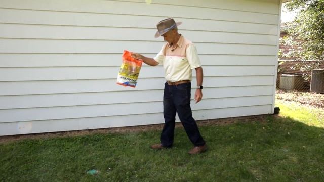 Control Fire Ant Invasions With TERRO® Fire Ant Bait