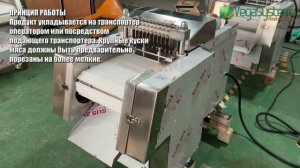 Vega Meat Dicer 500 TR