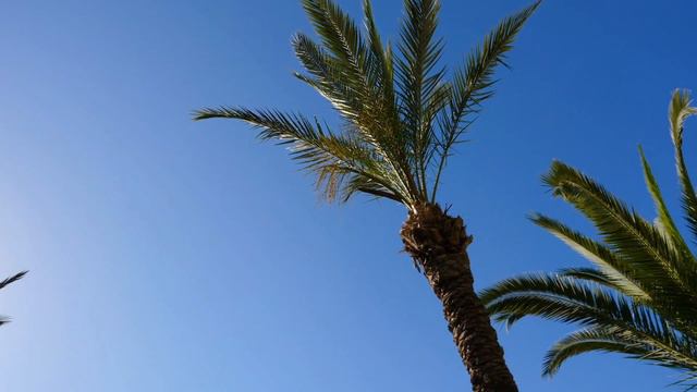 Dan Gibson’s Solitudes - Dominican Breeze | Siesta Beach смотреть онлайн