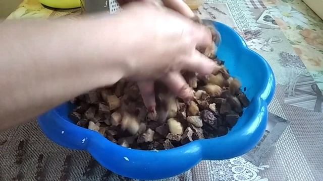 Сальтисон домашний