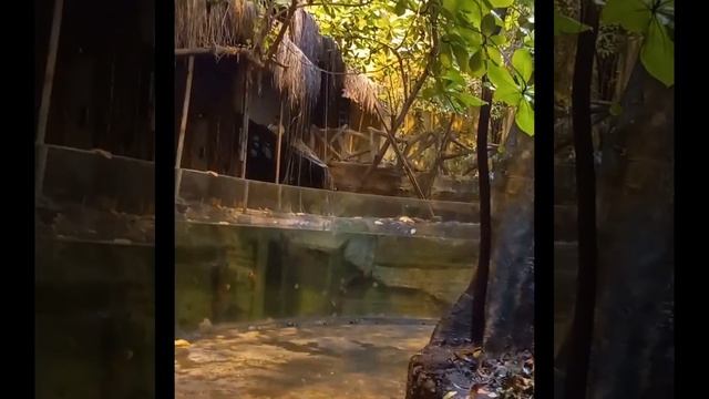 джунгли@)) смотреть онлайн