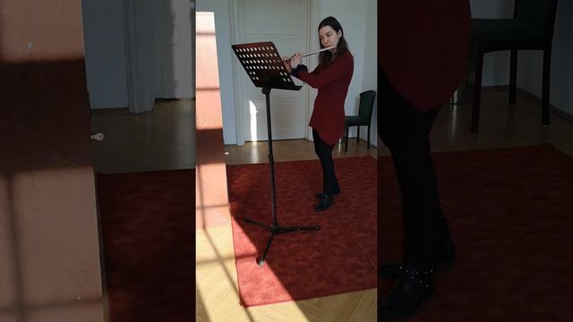 24 Etudes for Flute, Op.15 No. 9 смотреть онлайн