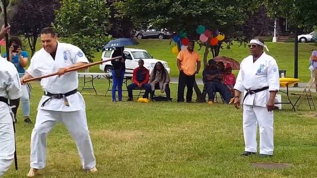Seido Karate Demonistration Central Queens NY June 27, 2015 смотреть онлайн