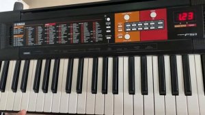 Yamaha PSR F51 Complete Technical Review