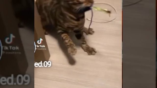 Ухватился смотреть онлайн