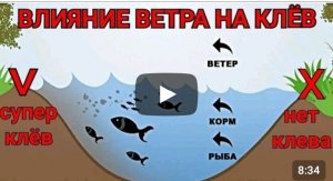То, что ТЫ не знал о ВЕТРЕ! Влияние ветра на клёв рыбы! Где ловить в ветер?