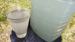 Квас на берëзовом соке с изюмом и мëдом! Полезный и освежающий напиток! #готовлю на даче.