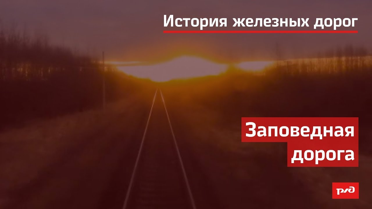 Заповедная дорога смотреть онлайн