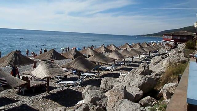 ВПЕРВЫЕ!!! Новый вид грибов на пляжах Лазаревского. Сентябрь 2013 смотреть онлайн