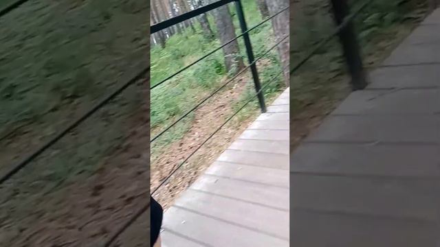 Рассказ о нашем городе 1 часть смотреть онлайн