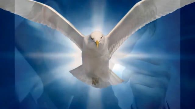 Basic Tenets Of Christianity смотреть онлайн