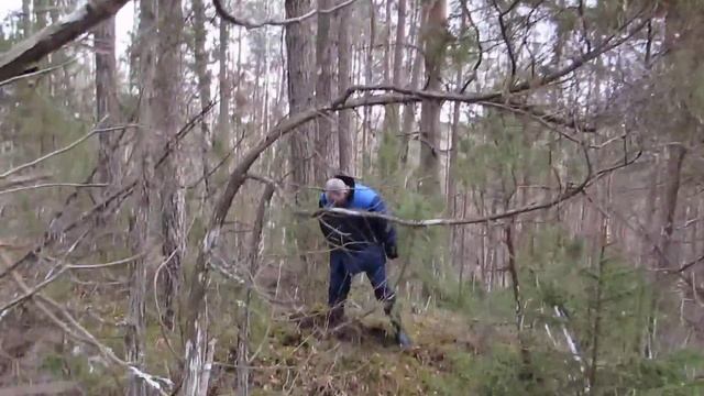 Древнее городище около д.Лезги Печорского р-на смотреть онлайн