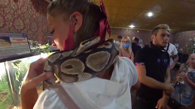 Трогательный Зоопарк в Бердянске смотреть онлайн