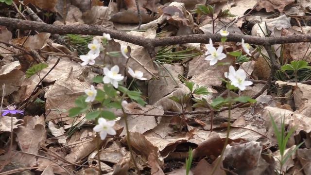 Я не Ошибаюсь, я никогда Не совершаю Ошибок!!! Дело было вечером.. 😄 смотреть онлайн