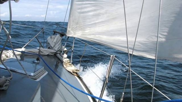 EKT Gdynia Żeglarski czardasz смотреть онлайн