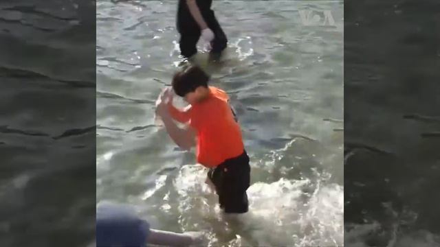 ԱՌԱՆՑ ՄԵԿՆԱԲԱՆՈՒԹՅԱՆ. Ձմեռային ձկնորսության փառատոնը՝ Հարավային Կորեայում смотреть онлайн