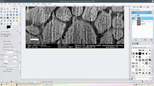 Preparing a micrograph for publication with GIMP смотреть онлайн