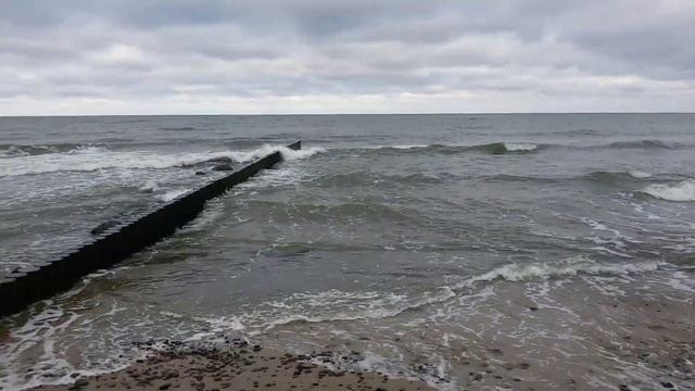 Зеленоградск. Клёв на Балтике? Есть!!! смотреть онлайн