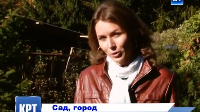 Смотрите в будни на КРТ - "Сад, огород" смотреть онлайн