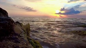 "Бригантина поднимает паруса"