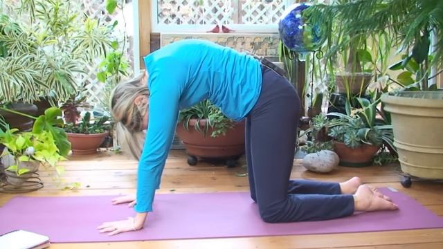 Yoga for Beginners Two with Dr. Melissa West - Episode 107 смотреть онлайн