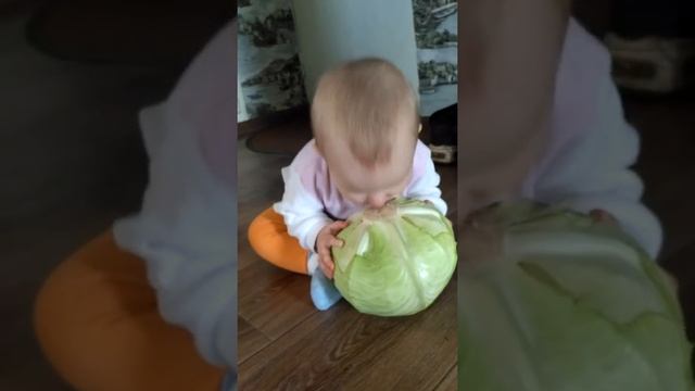 Капустная диета. смотреть онлайн