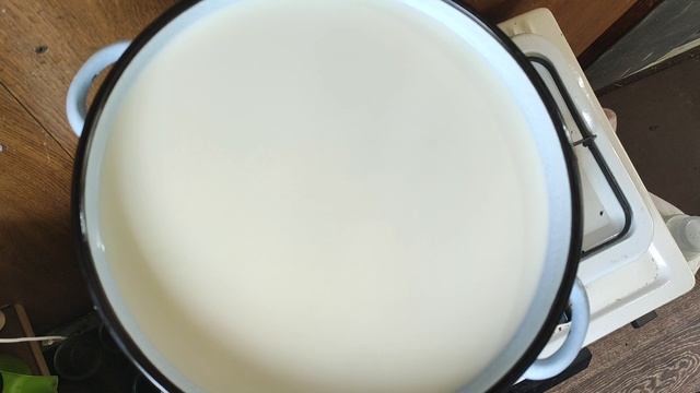 Рецепт домашнего козьего сыра , сыр из козьего молока