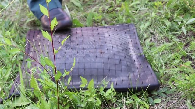 В Энгельсе прошли пожарно-тактические учения на ТЭЦ-3 смотреть онлайн