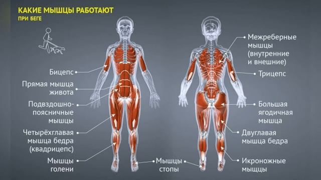 КАК ВЫБРАТЬ КРОССОВКИ ДЛЯ БЕГА смотреть онлайн