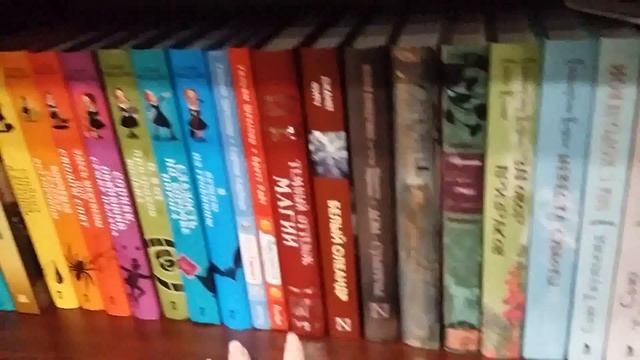 Покупаем рыбок в аквариум | VLOG